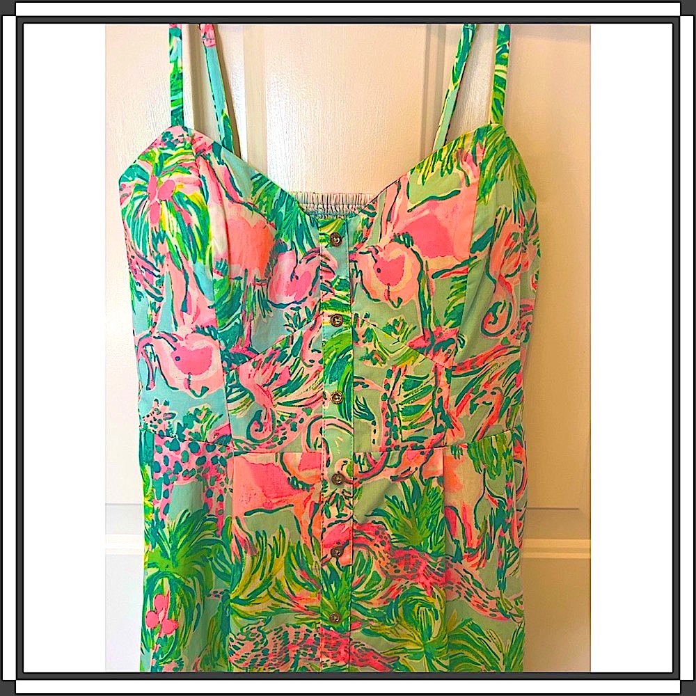 Lilly Pulitzer Dress (Brand New Never Worn) - Picture 3 of 7